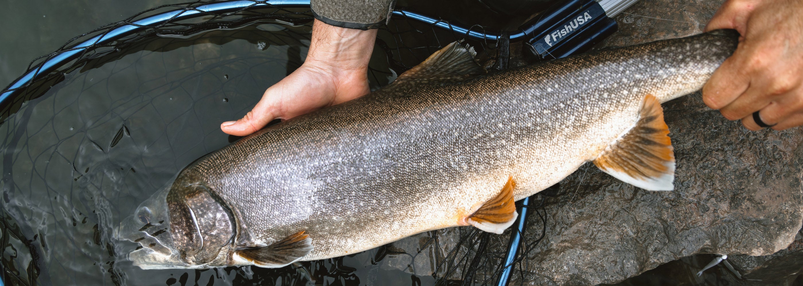 Addicted Braided Line