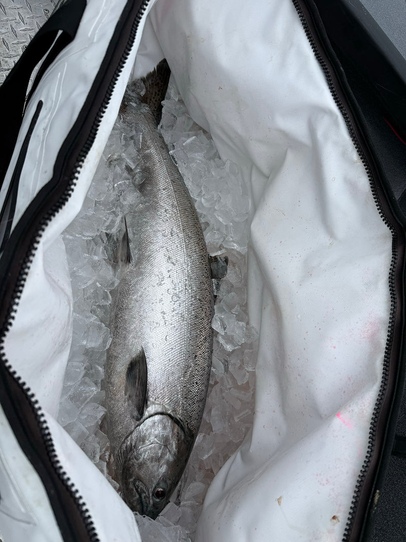 Load image into Gallery viewer, Bonk Em All XL Kill Bag
