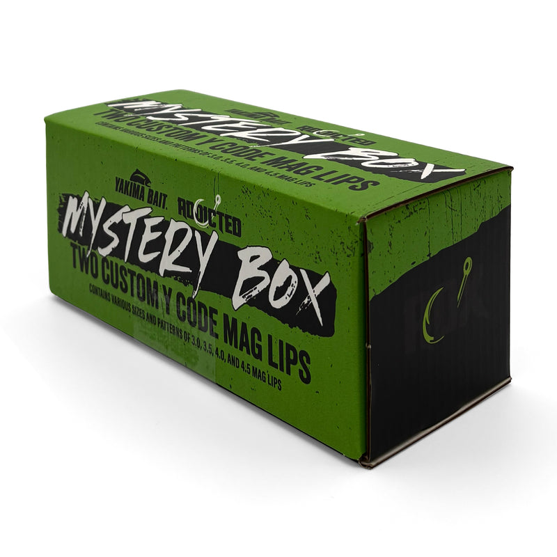 Load image into Gallery viewer, Mystery Y-Code Mag Lip Boxes Limited Edition
