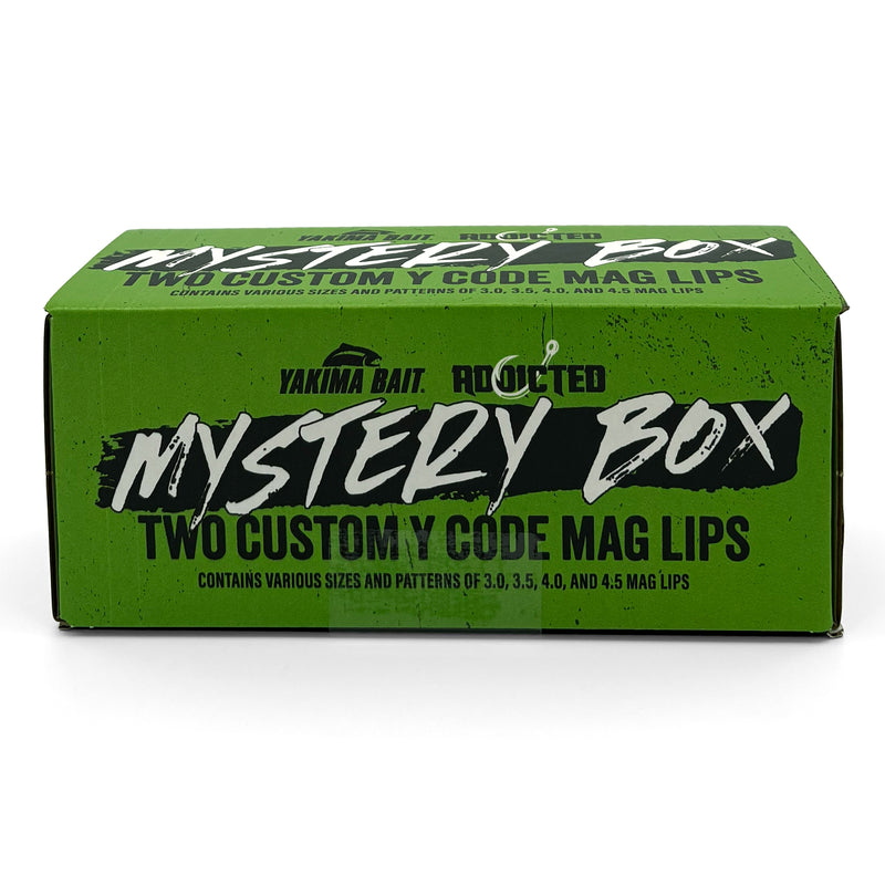 Load image into Gallery viewer, Mystery Y-Code Mag Lip Boxes Limited Edition
