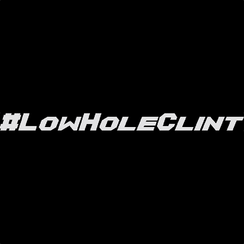 #LOWHOLECLINT Decal White