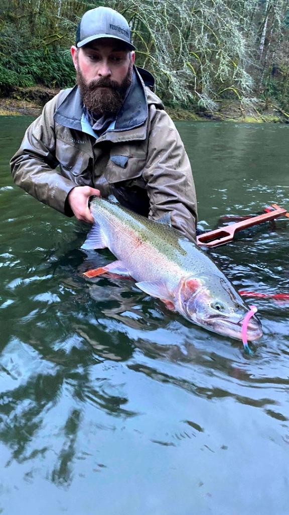 Load image into Gallery viewer, Sloppy Smith Steelhead Worms

